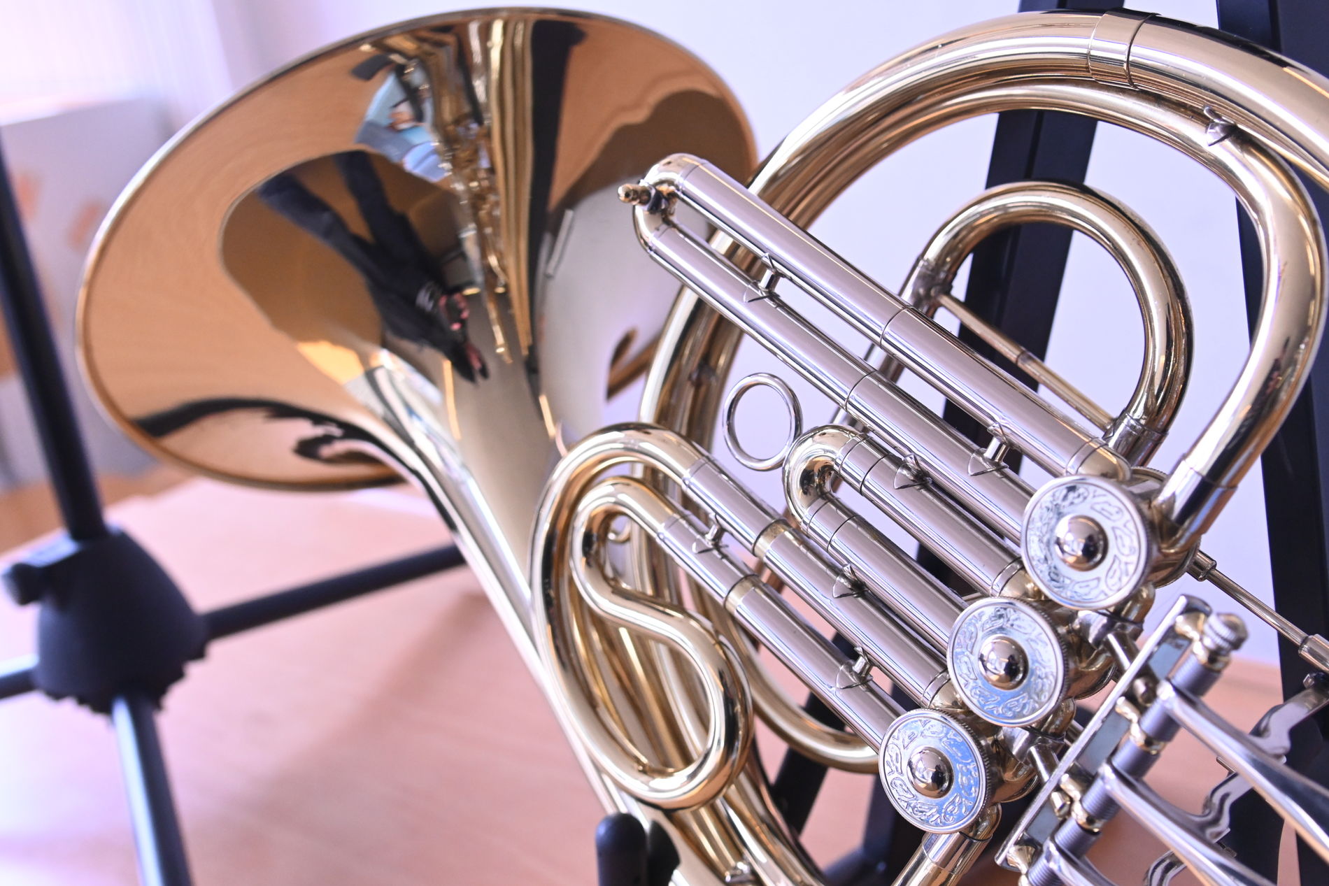 Gemeindeschulen Arth-Goldau