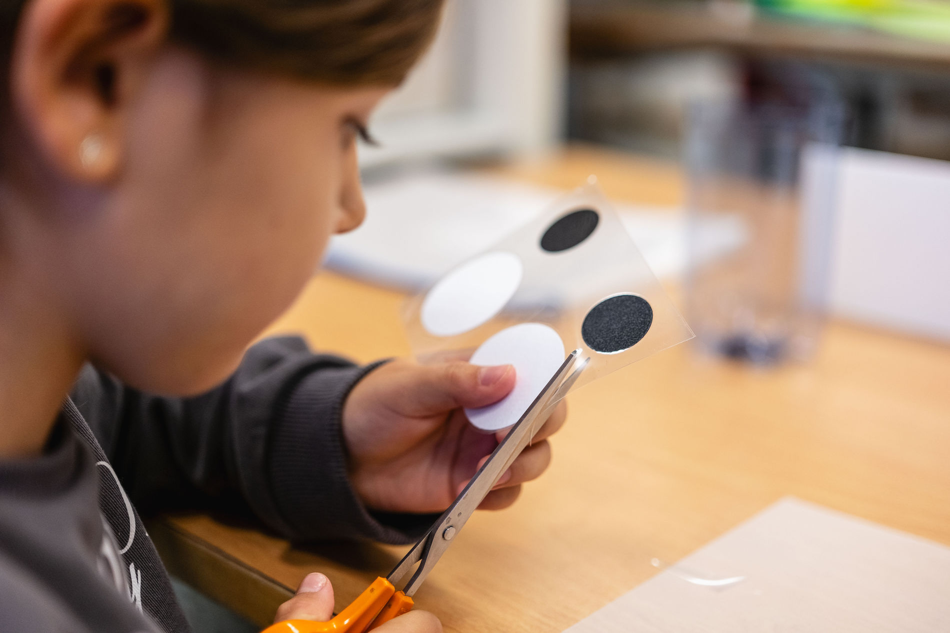 Gemeindeschulen Arth-Goldau